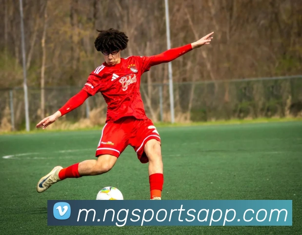 南宫体育平台生态图