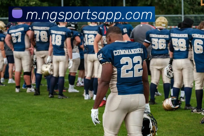 南宫体育APP 封面图